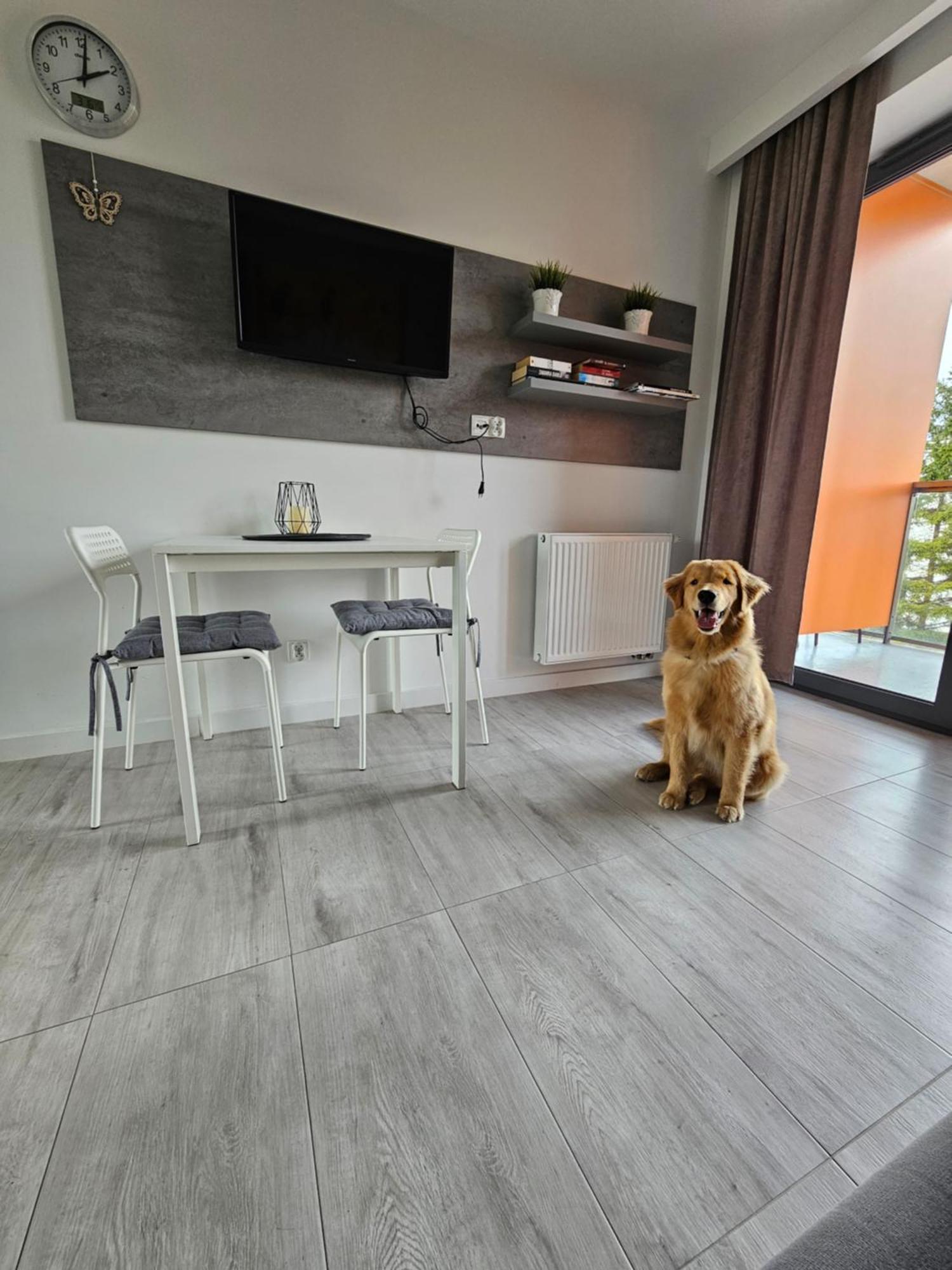 Apartament B106 - Residence Jastrzębia Góra Kültér fotó